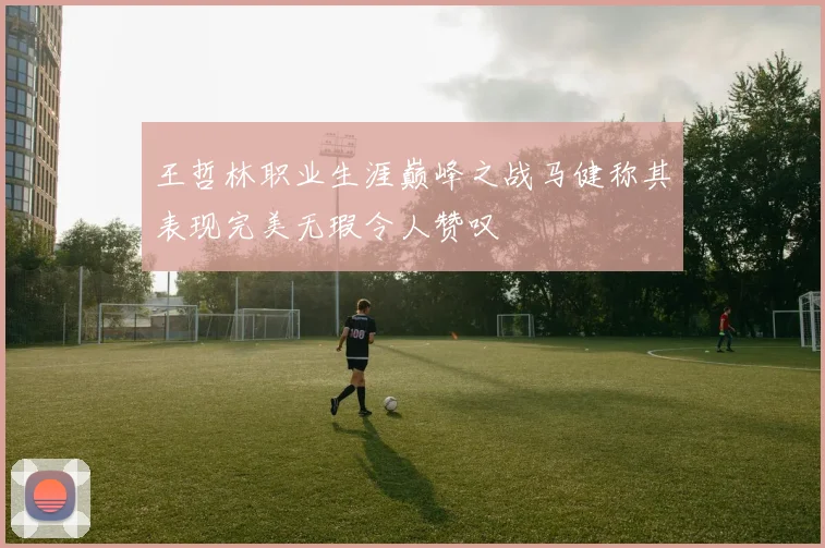 王哲林职业生涯巅峰之战马健称其表现完美无瑕令人赞叹